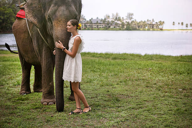 istock Beautiful woman and elephant in Thailand 467810818