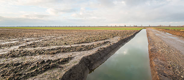 istock Newly dug ditch in a polder 467816866