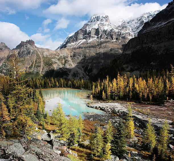 istock Mount Huber and Opabin Plateau, Yoho National Park, Canada 467817465