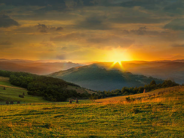 istock Wild plants and stack of hay at sunset 467817808