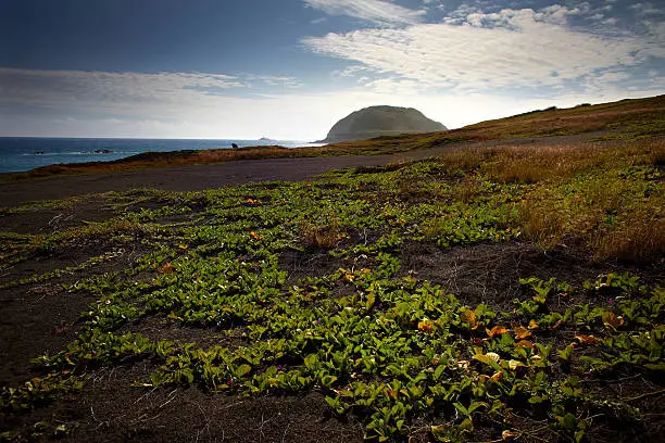 Photo shows the view of Mount Suribachi from the landing beaches on Iwo Jima.