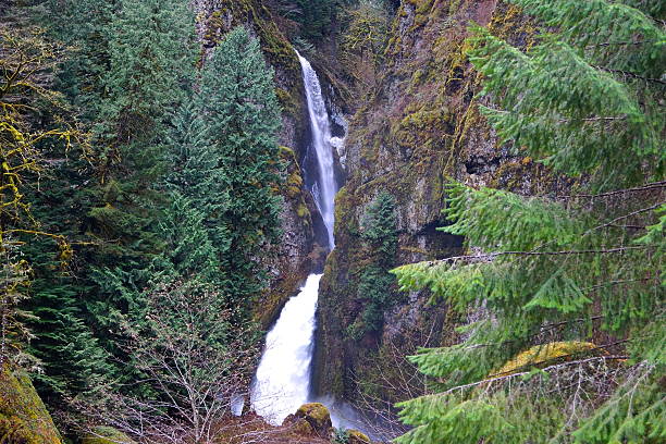 istock Wahclella Falls Ice 467831350