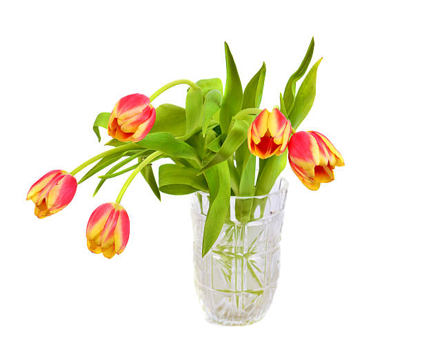 istock Beautiful pink  with yellow tulips 467836280