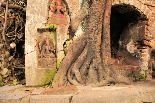 Hindu Tree shrine in Nepal's capital city Kathmandu