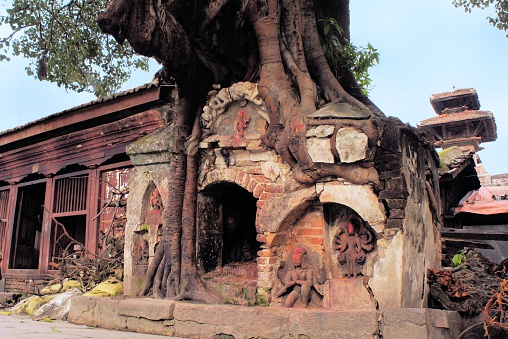Hindu Tree shrine in Nepal's capital city Kathmandu