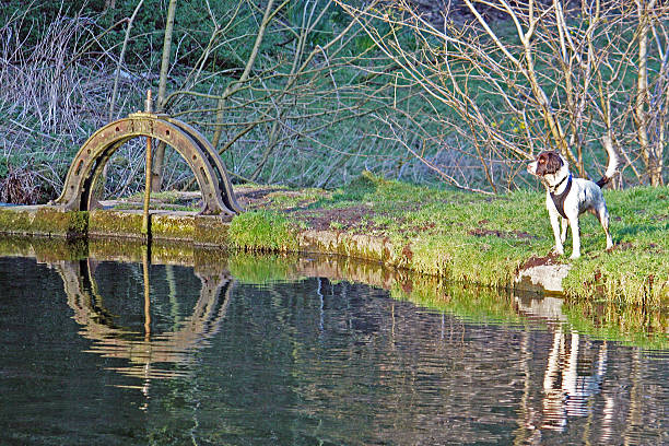 a view of the masonary arched bridge reflected in the river