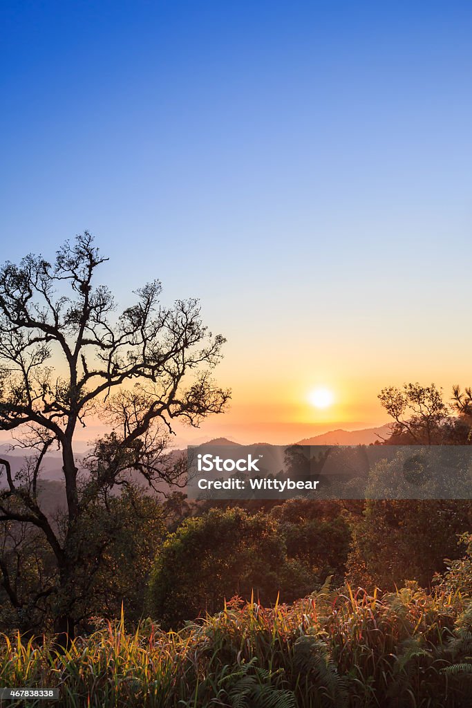 Beautiful Sunrise landscape view 2015 Stock Photo