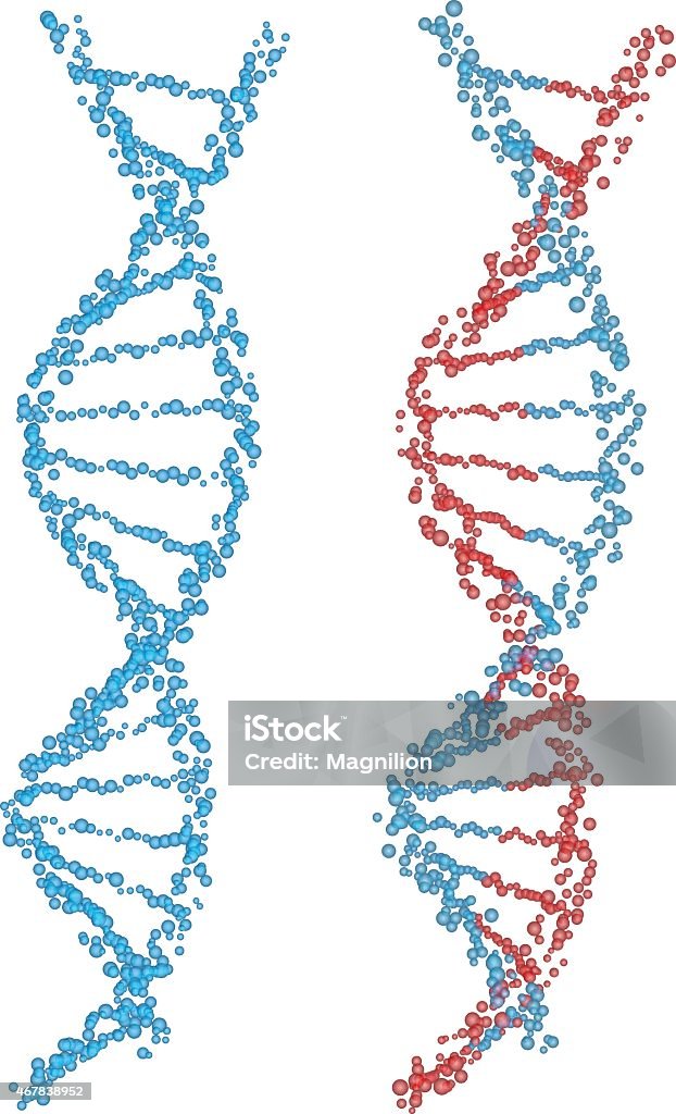 Espirales de ADN - arte vectorial de ADN libre de derechos