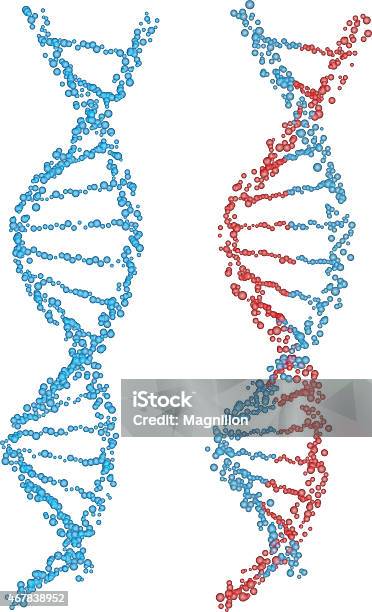 Ilustración de Espirales De Adn y más Vectores Libres de Derechos de ADN - ADN, Asistencia sanitaria y medicina, Hélice - Forma geométrica