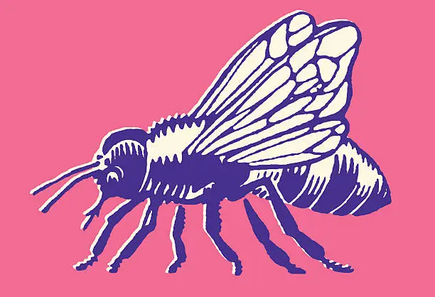 Vector illustration of Bumblebee