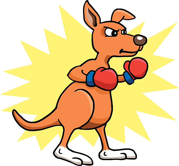 Boxing Kangaroo Boxing Kangaroo kangaroos fighting stock illustrations