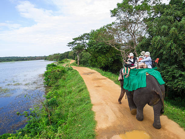 istock An elephant carrying a group of people down a path 467843020