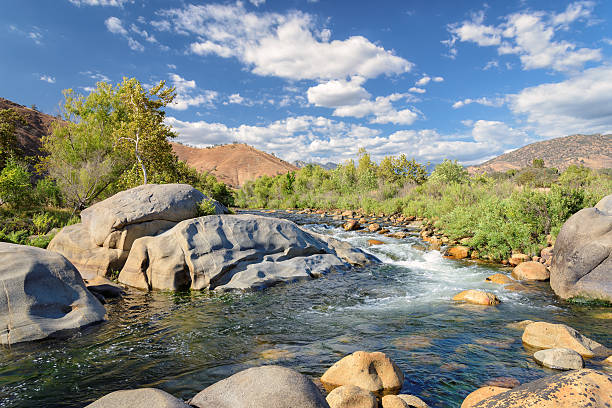 istock Stones and plants in an environment of the rapid river 467846048