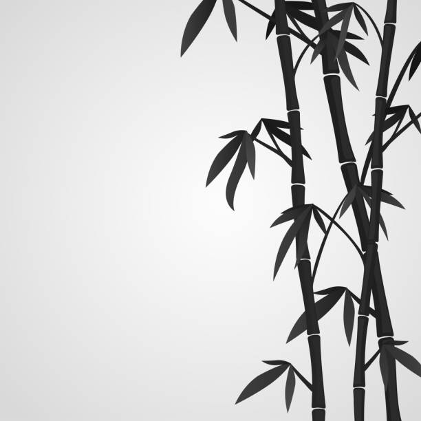 White background with black bamboo stems Background with bamboo stems. Ink sketch style bamboo background stock illustrations