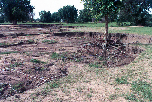 Severe Stream Erosion north of Ouahigouya Burlina Faso West Africa
