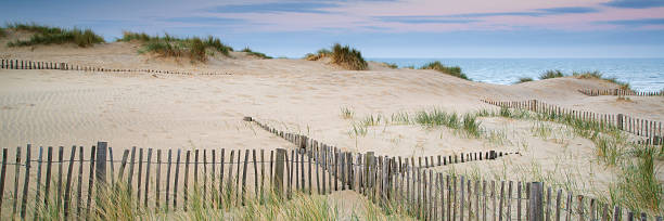 istock Panorama landscape of sand dunes system on beach at sunrise 467851859