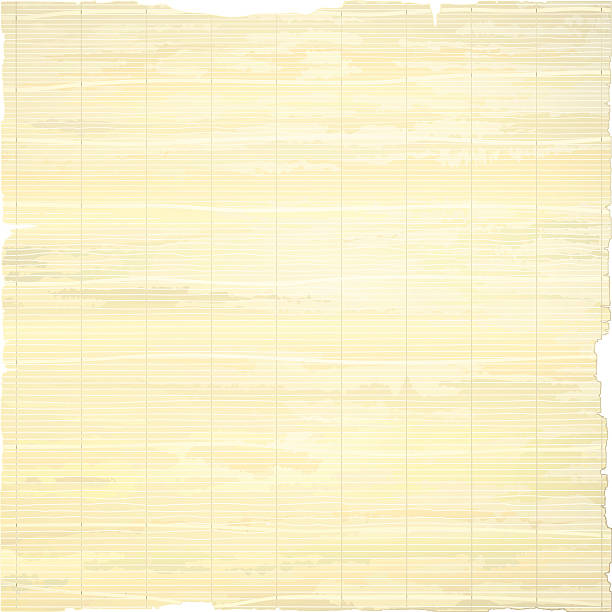 ilustraciones, imágenes clip art, dibujos animados e iconos de stock de papel aislado sobre fondo blanco. - backgrounds history textile torn