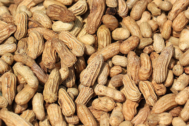 istock Pile of Dried peanuts as background 467853279
