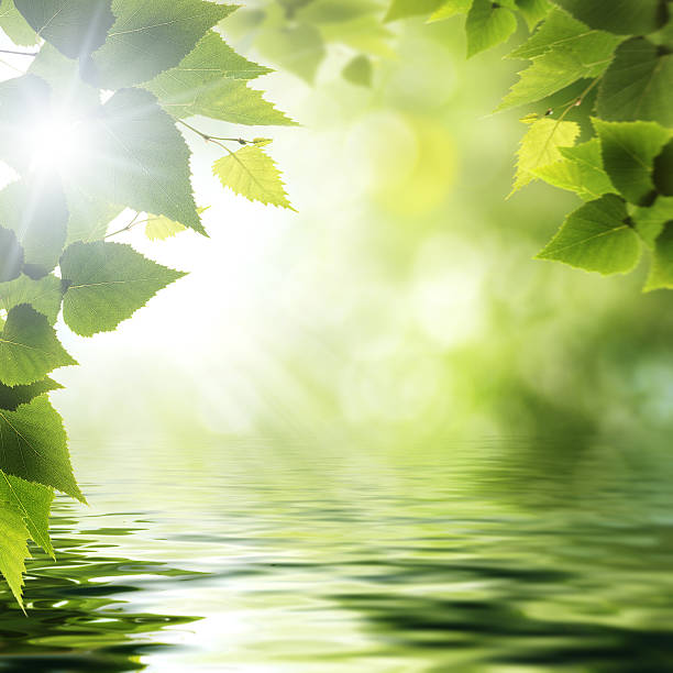 istock On the forest lake, abstract environmental backgrounds 467853561