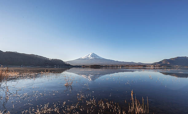 istock Mount Fuji from Lake Kawaguchiko 467853649