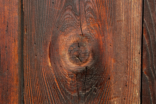 Knotted Wood 