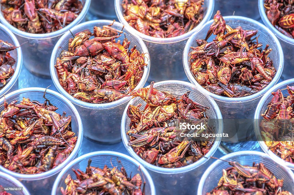 Chapulines, Edible Grasshoppers Chapulines, grasshoppers snack traditional Mexican cuisine from Oaxaca Grasshopper Stock Photo