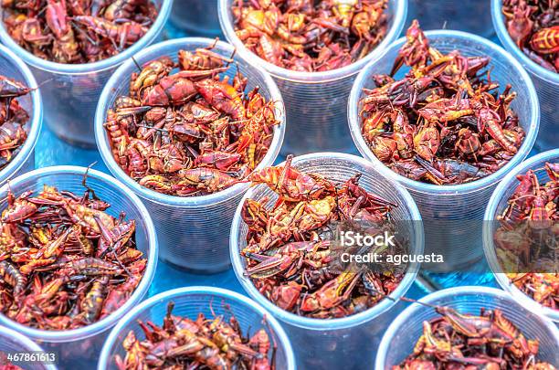 Chapulines Edible Grasshoppers Stock Photo - Download Image Now - Grasshopper, Roasted, Large Group Of Objects