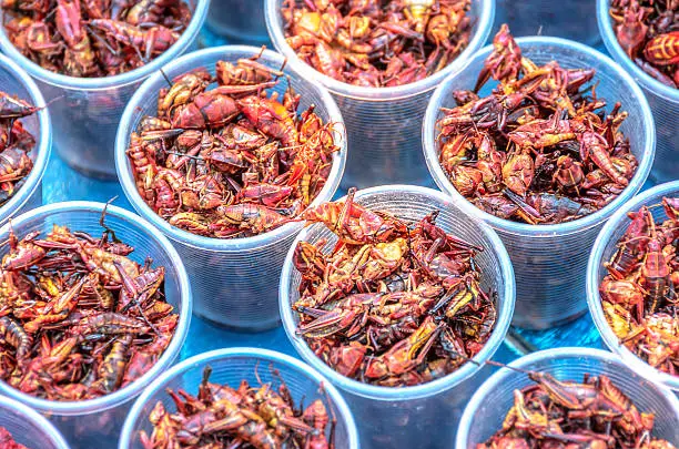 Chapulines, grasshoppers snack traditional Mexican cuisine from Oaxaca