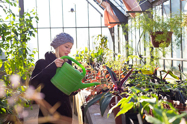 istock Florists woman working in greenhouse. 467861842