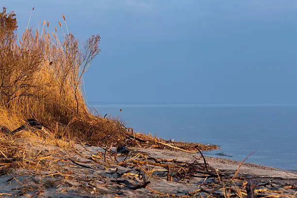 Photo of Sunrise on the Beach