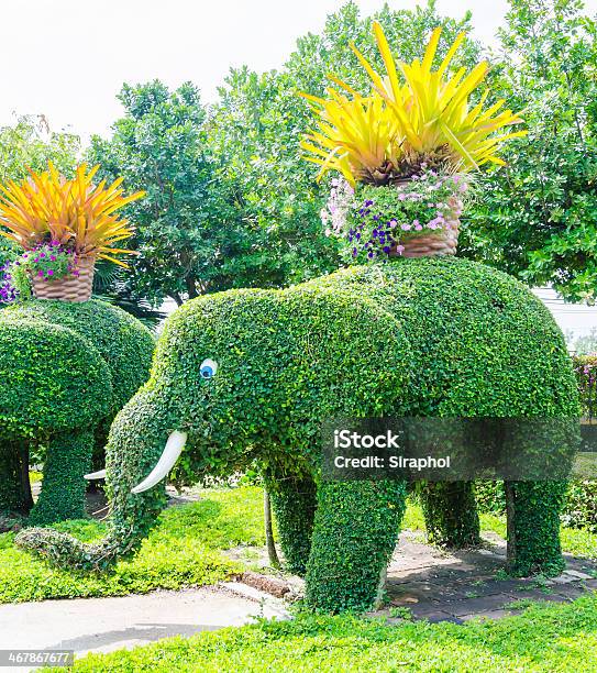 Elephant Stock Photo - Download Image Now - Animal, Hedge, India