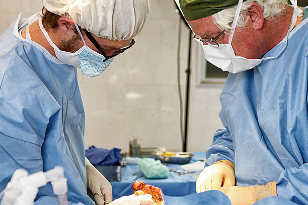 外科医およびアシスタントの仕事 - hoirzontal ストックフォトと画像