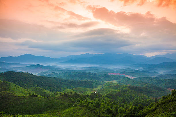 istock Mountain under mist in the morning 467867957