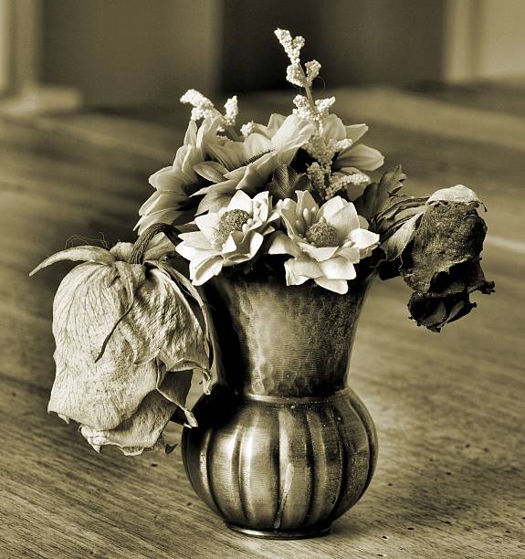 istock Vase of wild flowers 467868010