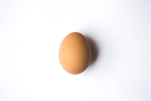 Egg from above stock photo