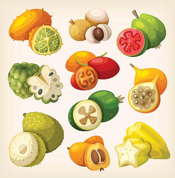 ilustraciones, imágenes clip art, dibujos animados e iconos de stock de frutas tropicales exóticos. - apple portion red freshness