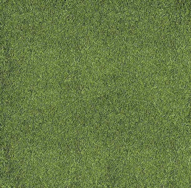 istock Texture football pitch 467883989