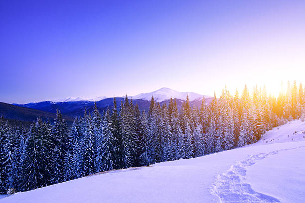 Sunset over the mountain range Path on snow in winter mountains wintry landscape january december landscape stock pictures, royalty-free photos & images