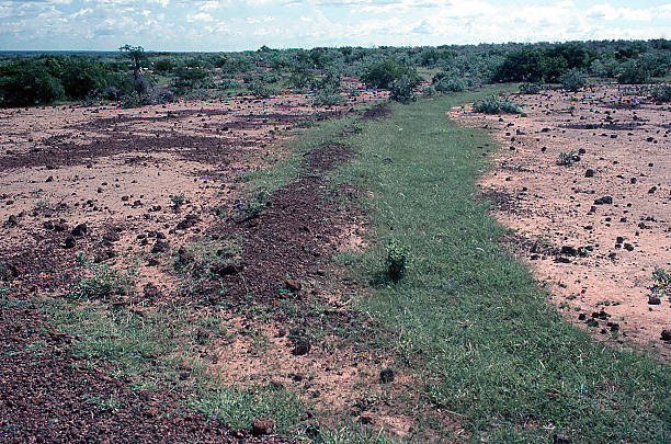 abbandonati e degraded prevenzione dell'erosione del suolo opere burkina faso africa occidentale - prevenzione dellerosione del suolo foto e immagini stock
