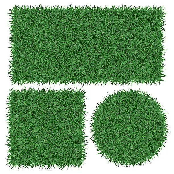 Vector illustration of Green grass