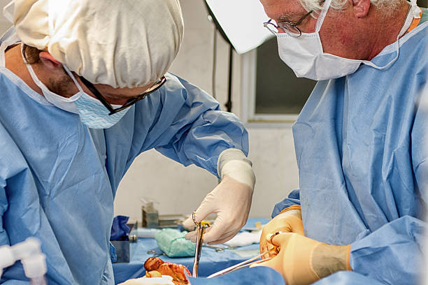 хирург и assistant в работе - hoirzontal стоковые фото и изображения