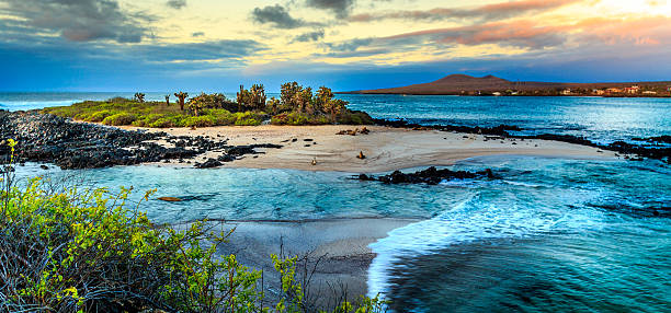 Galapagos Sea view if one of the islands of the Galapagos sea lion photos stock pictures, royalty-free photos & images