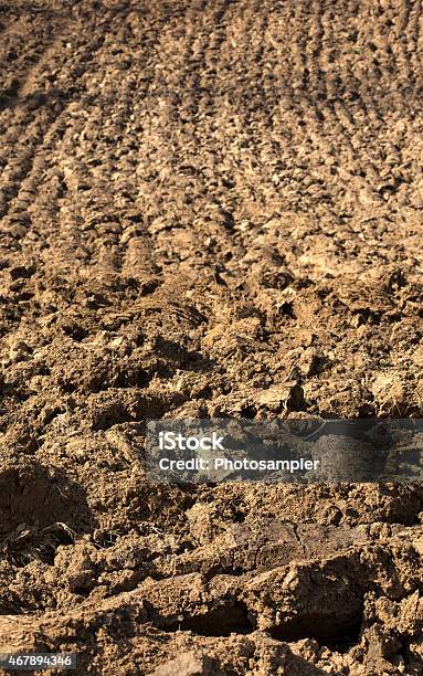 Foto de Terra Cultivada e mais fotos de stock de 2015 - 2015, Agricultura, Ajardinado