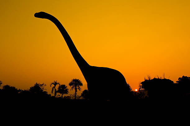silhouettes of dinosaurs silhouettes of dinosaurs. coelurosauria stock pictures, royalty-free photos & images