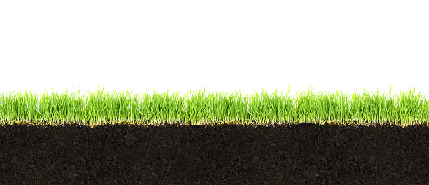 istock Cross-section of soil and grass isolated on white background 467898665
