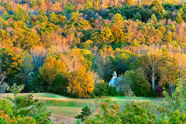istock Cade's Cove at Sunset 467902780