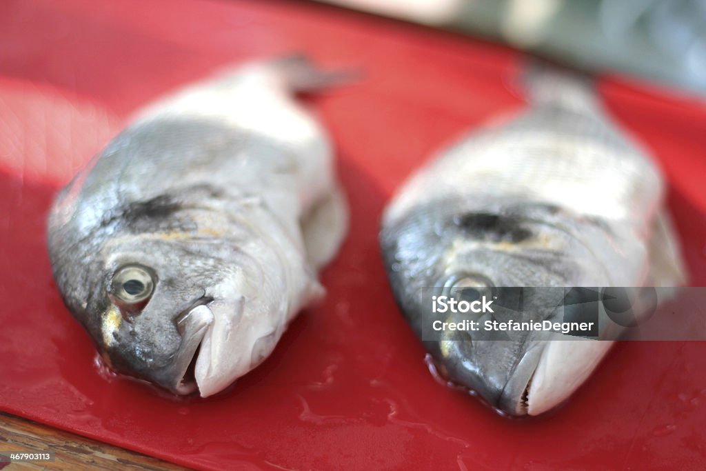 Raw gilthead seabream on a red chopping board Raw gilthead seabream on a red chopping board - ready to be prepared Abstract Stock Photo