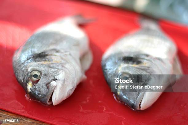 Raw Gilthead Seabream On A Red Chopping Board Stock Photo - Download Image Now - Abstract, Animal, Animal Scale