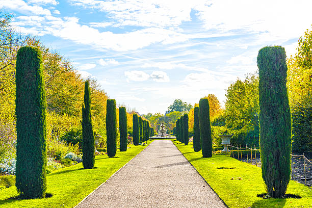 istock Regents Park - London 467905303