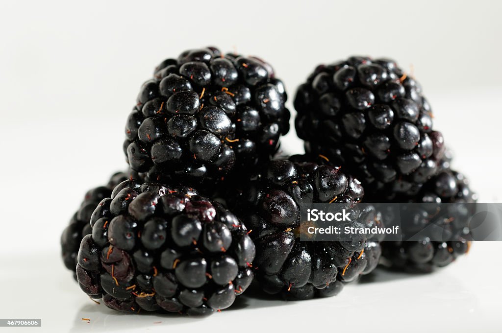 Brombeeren - Foto de stock de 2015 libre de derechos